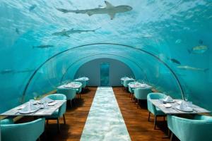 images/resorts/Conrad/Conrad Maldives Rangali Island2.jpg